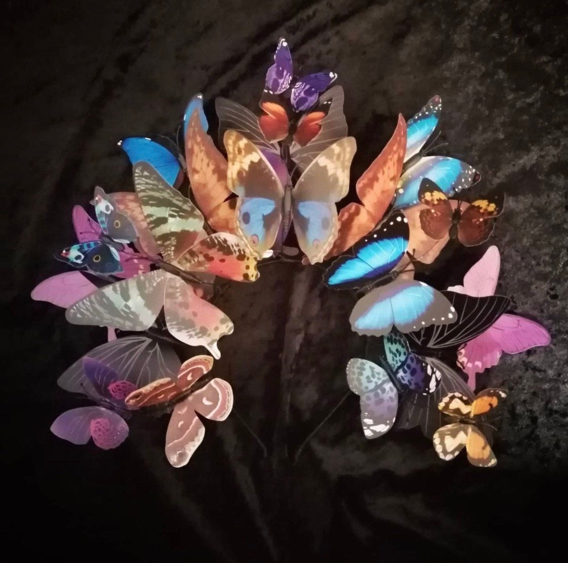 Butterfly Halo • Festival Crown